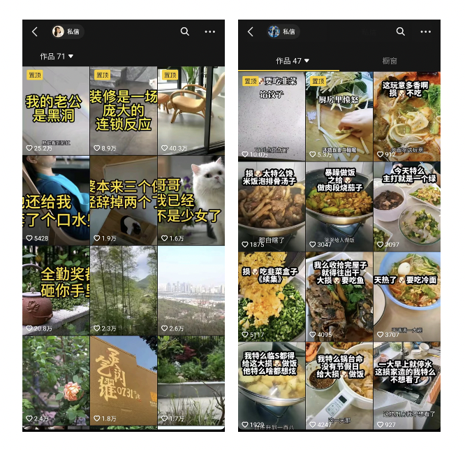 IP 塑形计:从形象设计到进阶之路