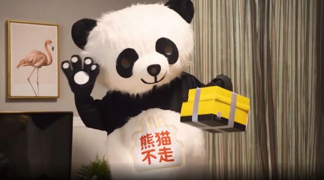 老板欠薪失联,12万家同行倒闭,“熊猫不走”难幸存