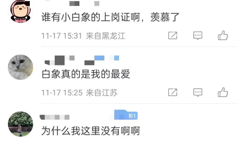【白象泡面工厂】主题快闪店火了，连悲伤蛙都来排队上岗......