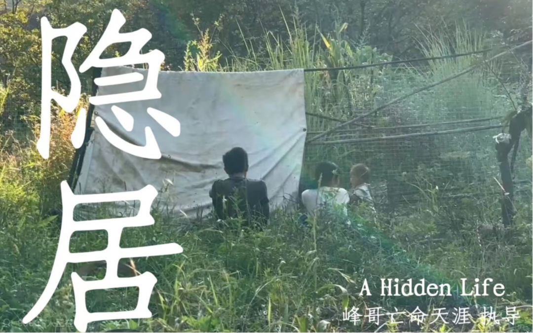 190万粉丝UP主,这次真要“亡命天涯”了?
