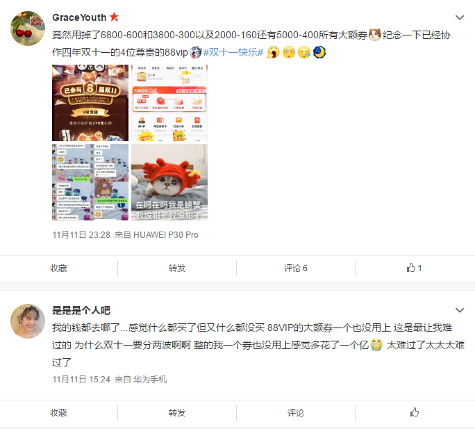跟阿里88VIP学重点营销用户的运营