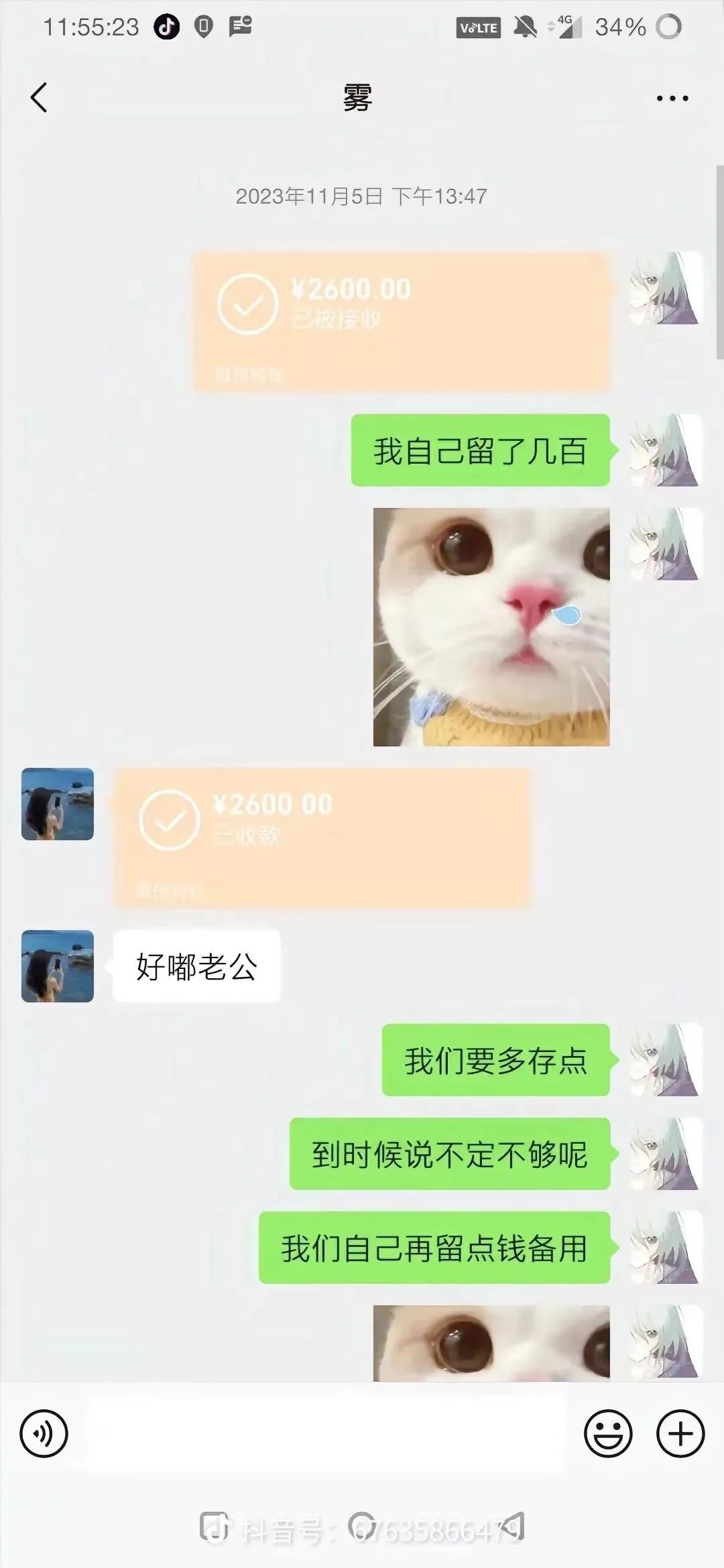 发空包祭胖猫,这些品牌门店有多离谱?