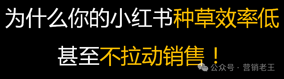 人性营销,内容的终点