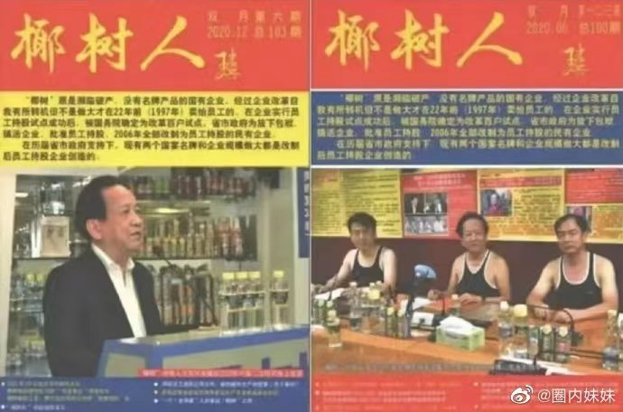 擦!椰树终于承认了?!