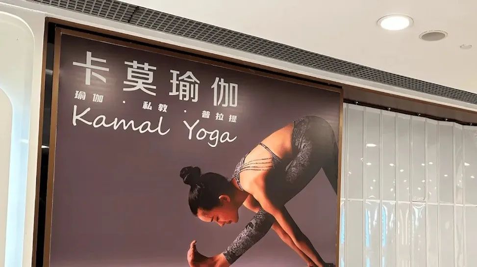 是谁杀死了卡莫瑜伽?