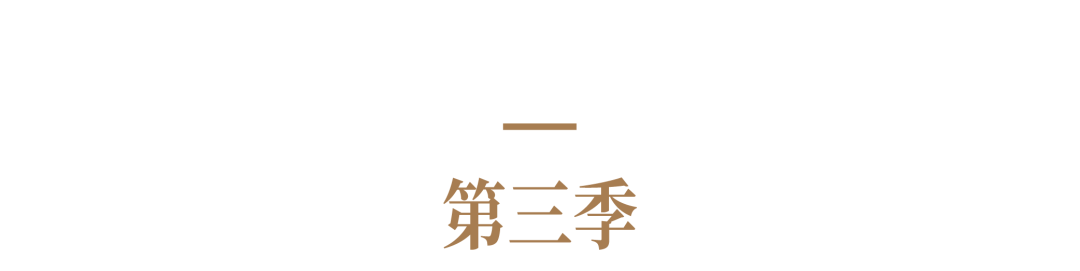 自黑自嘲来劝退?点维招聘广告第四季又来了!