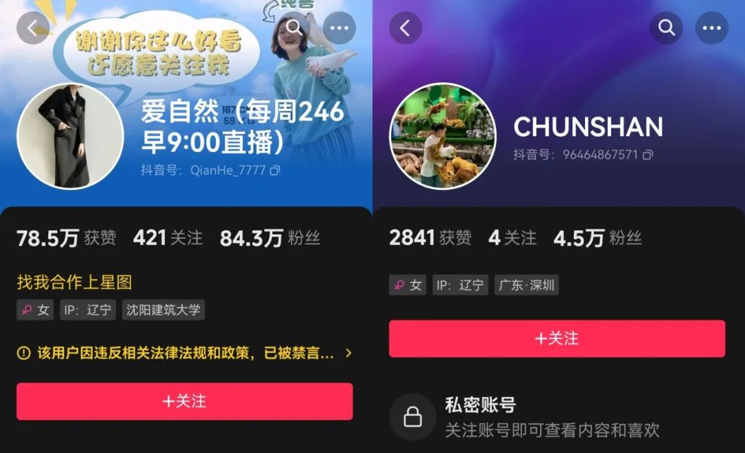 双11后,全网首个带货主播“倒下”