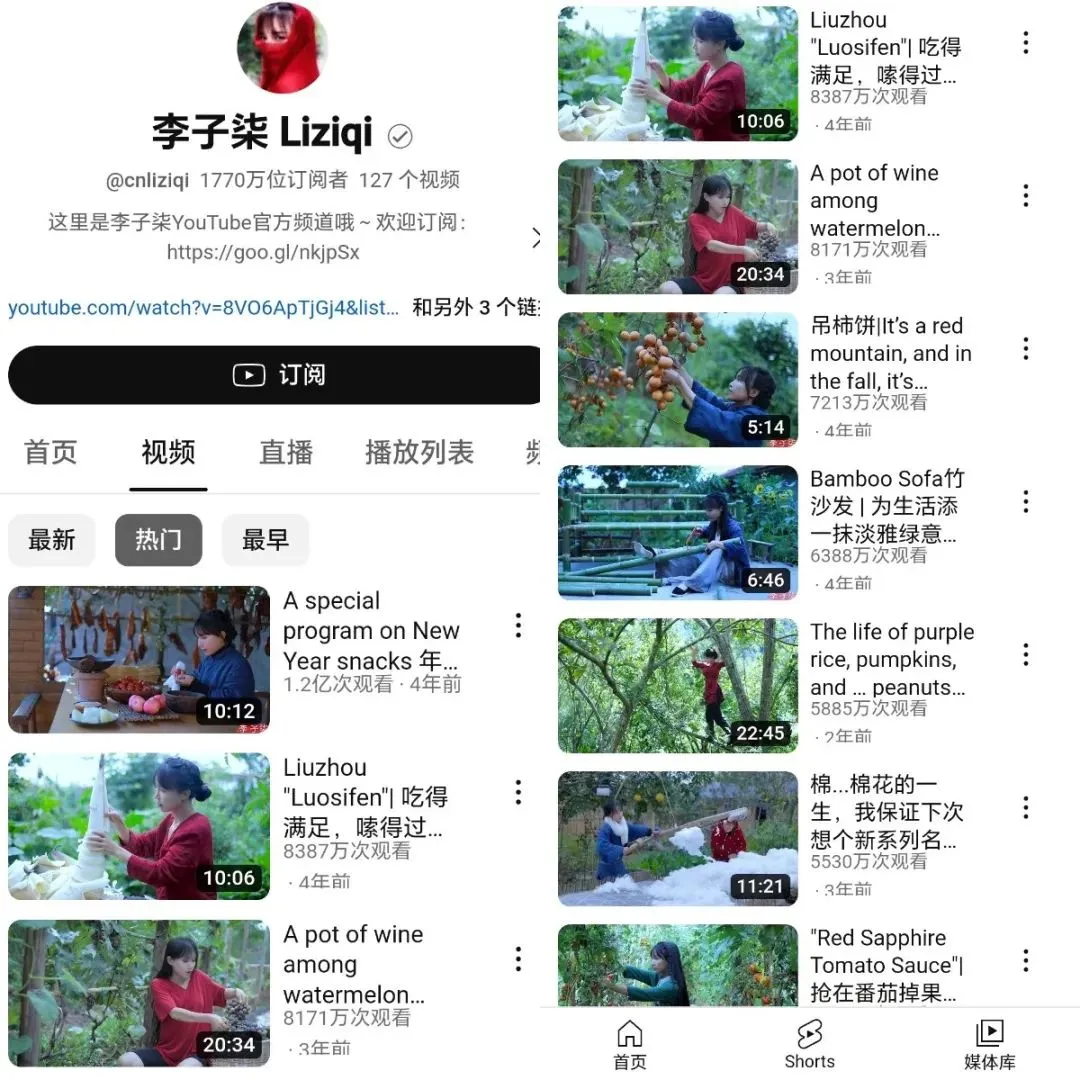 李子柒,为什么消失得这么彻底?