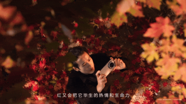 华为,拍红每一种红