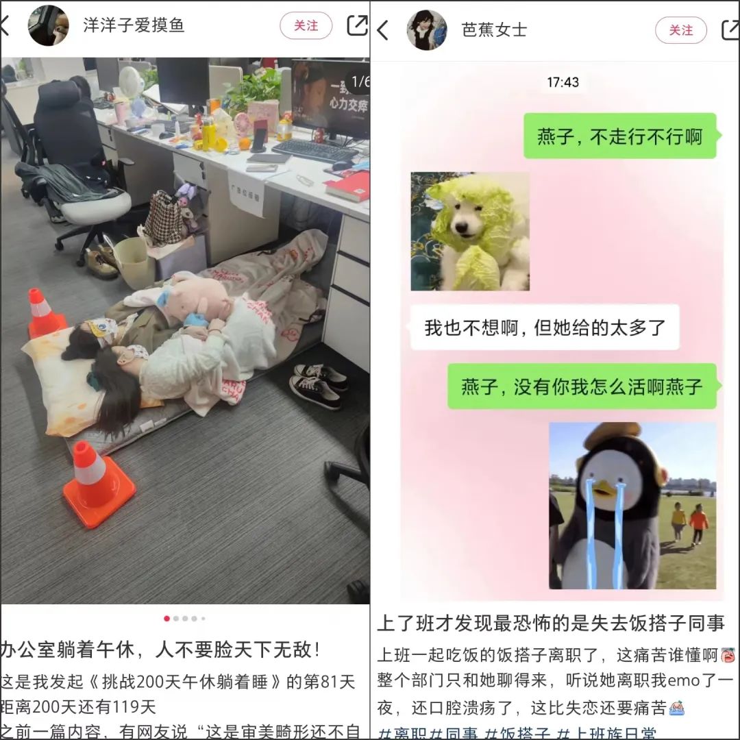 “找搭子”风起小红书