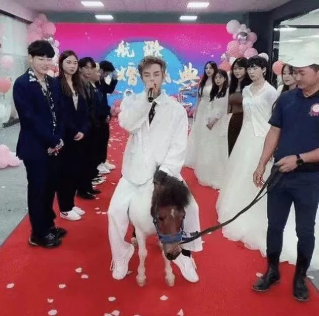 网红为何总在结婚离婚
