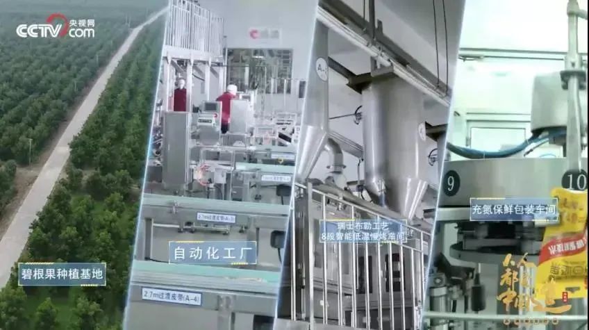 满足情绪价值,瞄准长效营销,恰恰“透明工厂”IP占领用户心智