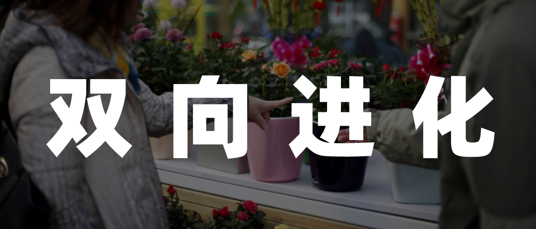 即时零售崛起，鲜花经济蓄势再进化