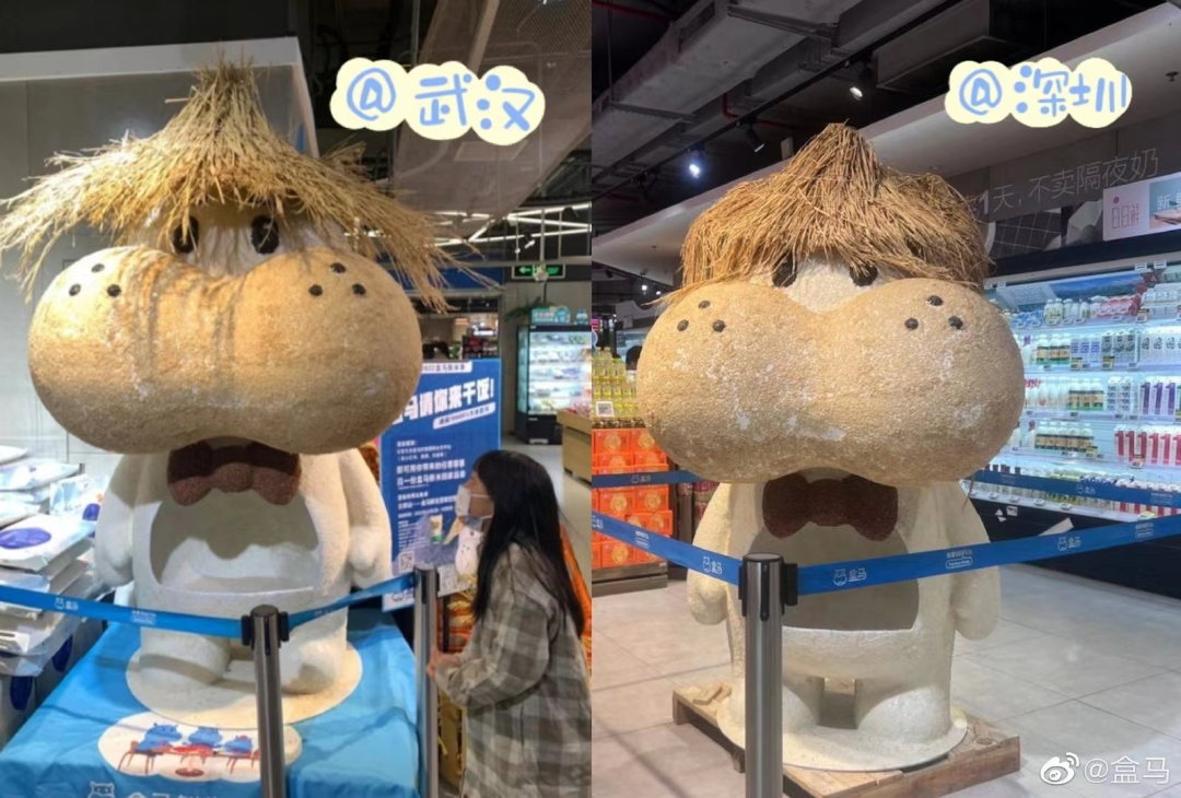 盒马的猪,把刘畊宏女孩卷疯了!
