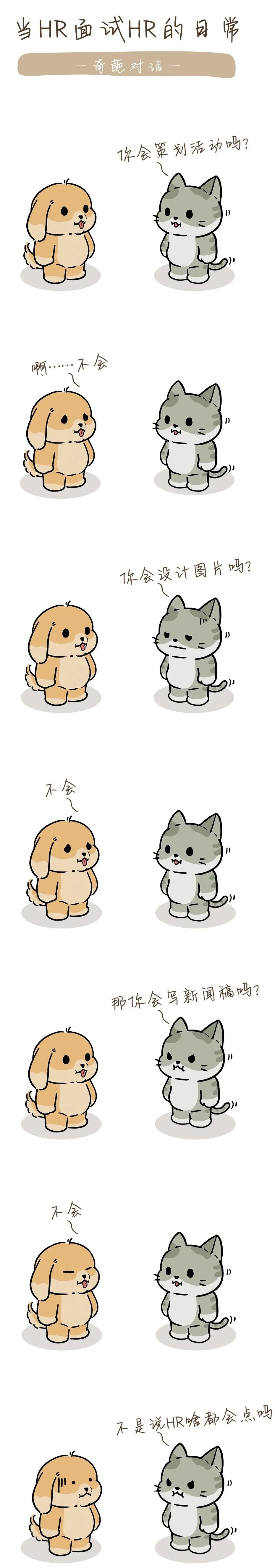 什么,HR去面试有优势?HR:瞎说,自己人也照样忽悠