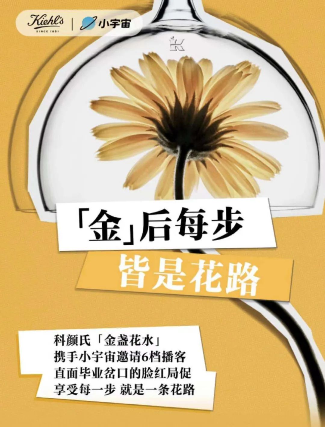 小红书种草,播客种树?
