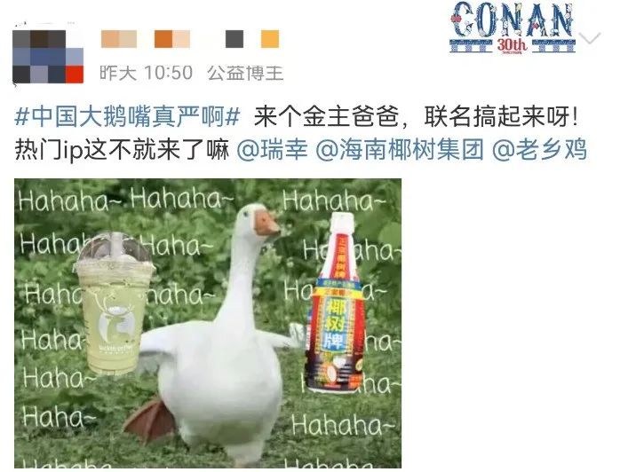 “中国大鹅”火了!双11最强带货王,竟然是网友?