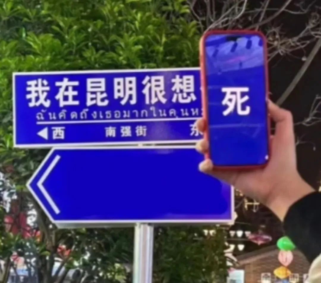 网红路牌文案,被网友们“玩坏”了