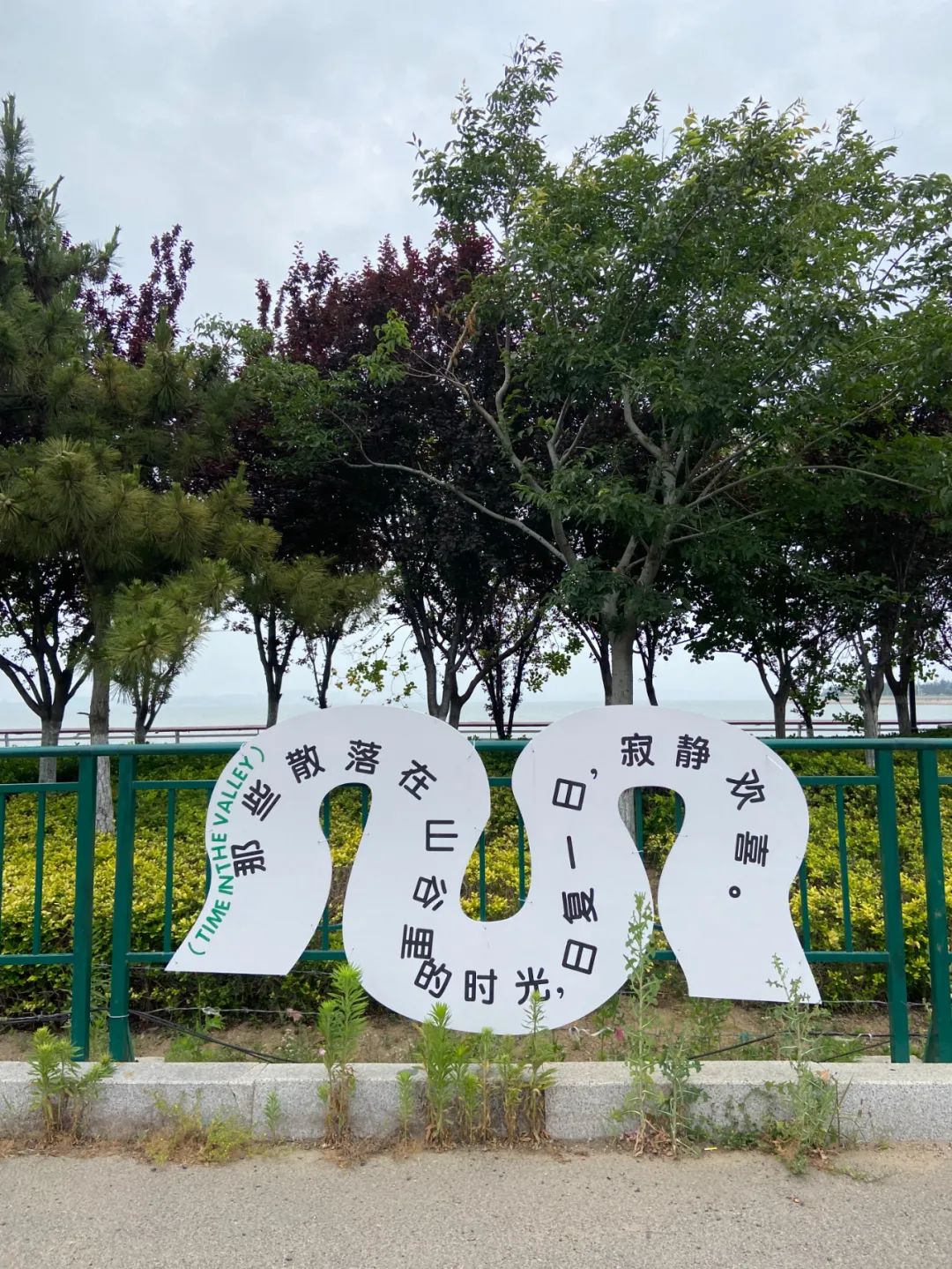 最近收藏的20句文案