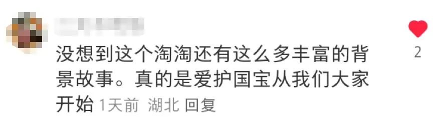 大熊猫保护日,淘宝拍了一支让人爱心爆棚的皮影戏