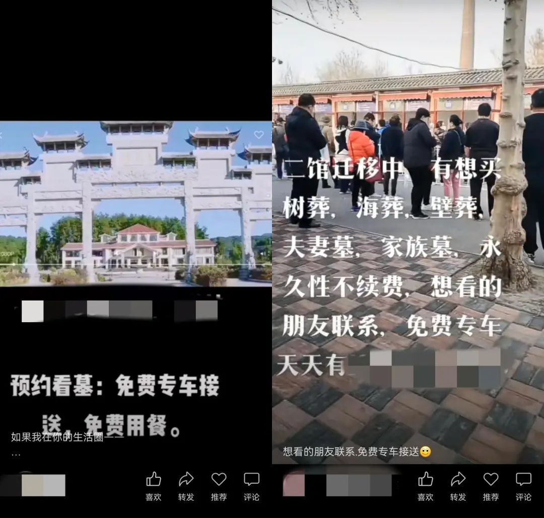 这届90后,在直播间选墓地