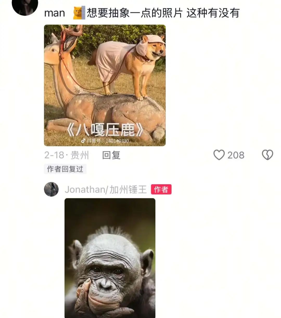 7天涨粉百万,听劝的野外摄影师“加州锤王”快把网友哄成“胚胎”了