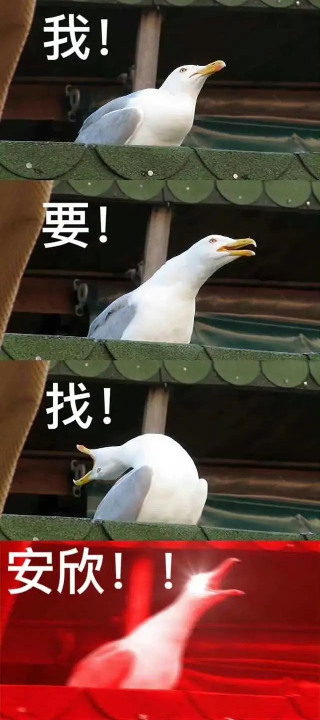 开年爆剧《狂飙》收官在即,戏外盘活了哪些流量爆款