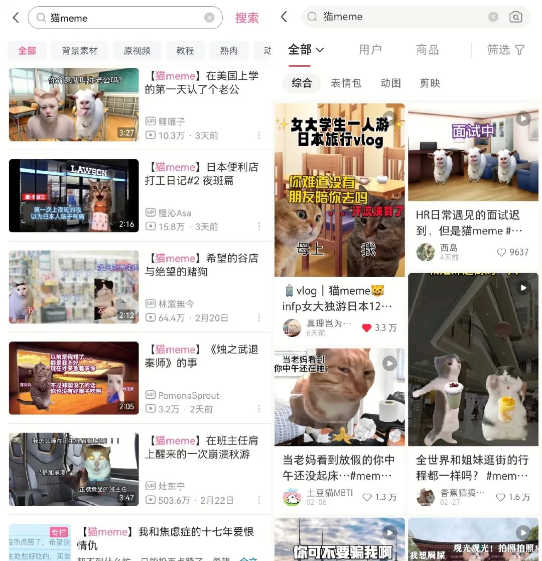 7天B站涨粉20万，&ldquo;猫meme&rdquo;为何风靡全网？