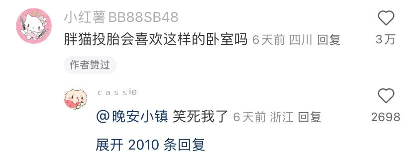 小红书网感文案,句句神标题