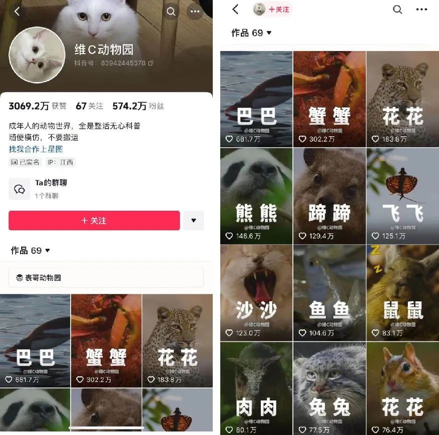 1个月抖音涨粉300万，年轻人捧红了野生新&ldquo;顶流&rdquo;！