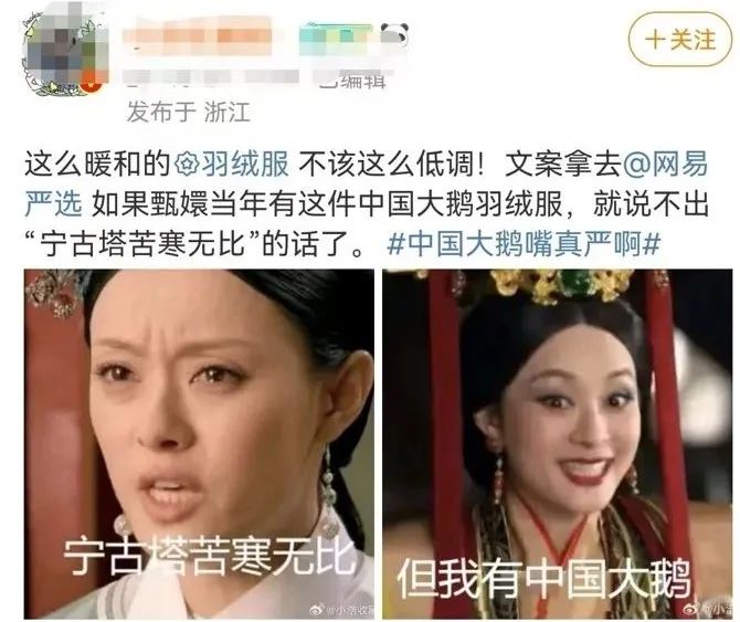 “中国大鹅”火了!双11最强带货王,竟然是网友?