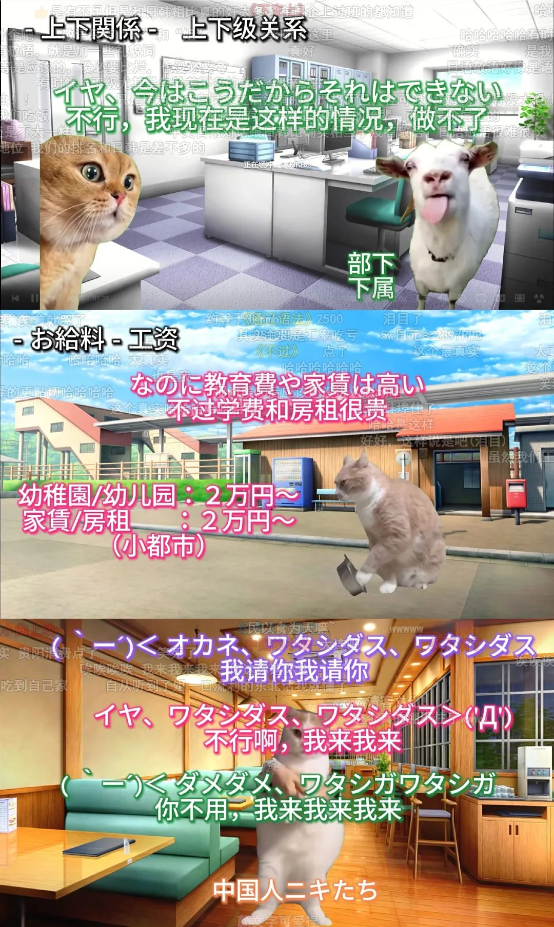 7天B站涨粉20万，&ldquo;猫meme&rdquo;为何风靡全网？