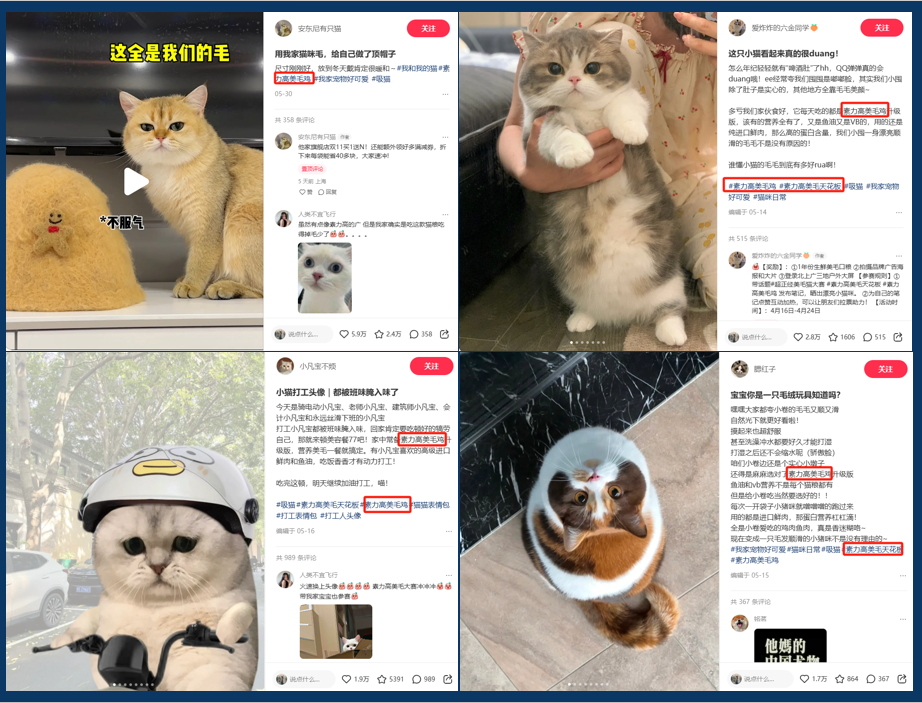 连产品的目标用户都不知道,你还要在小红书种草上花多少冤枉钱?