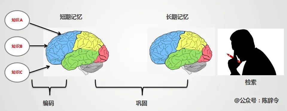 我的箱底货：高效学习的底层方法（7000字长文）