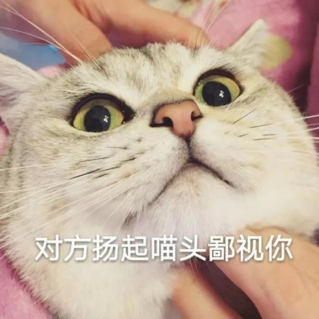 点击查看源网页