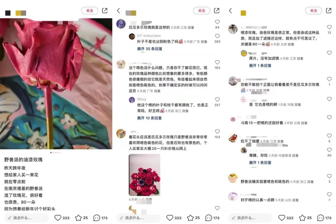 野兽派里的&ldquo;毒玫瑰&rdquo;