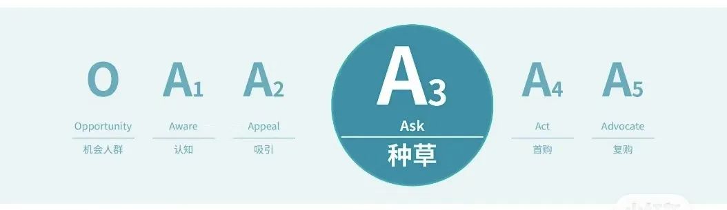 “种草主场”之争,抖、红究竟有啥区别?
