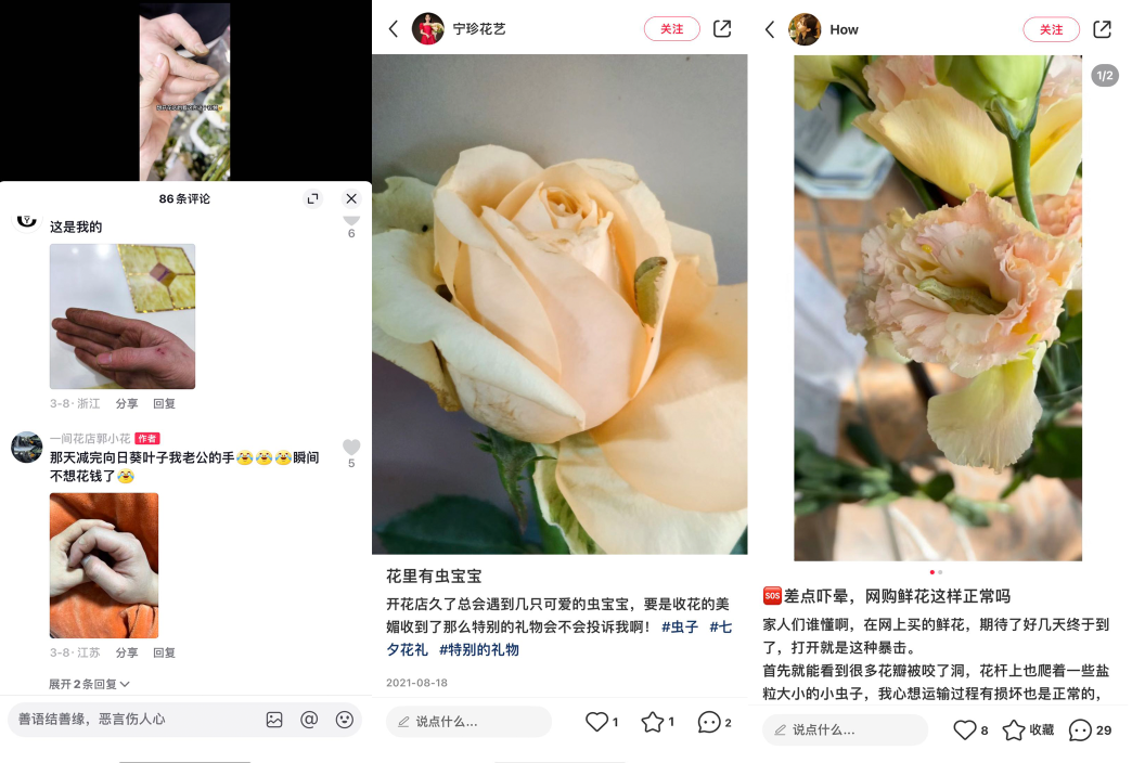 看上去很美的花店生意,为什么成了创业黑洞|七夕生意经