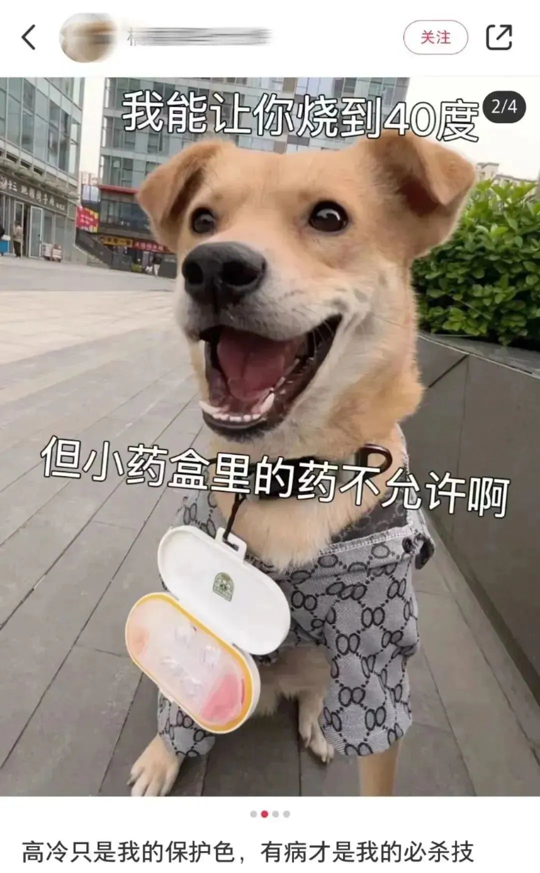 美团买药,如何用小情绪撬动大传播?