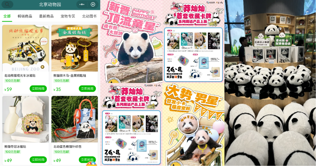 一年带动6个亿,熊猫经济还能火多久?