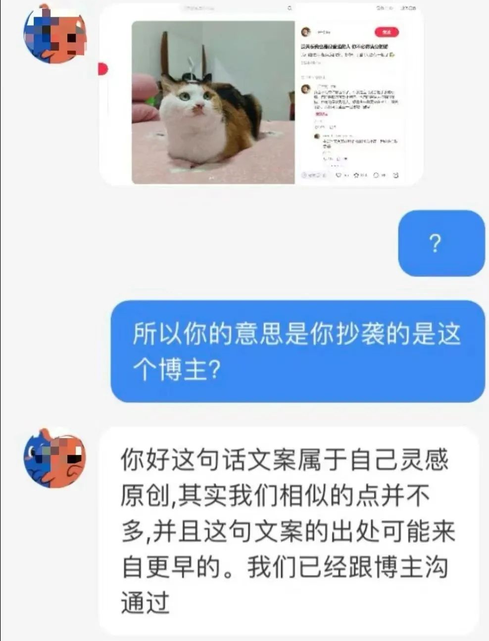 看哭全网的小狗广告翻车?反转来得太突然!