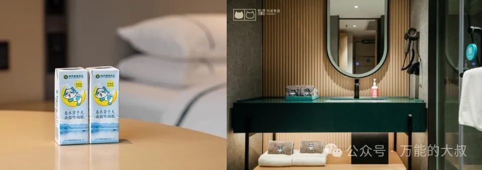 酒店如何让年轻人上头?先“吸猫”!