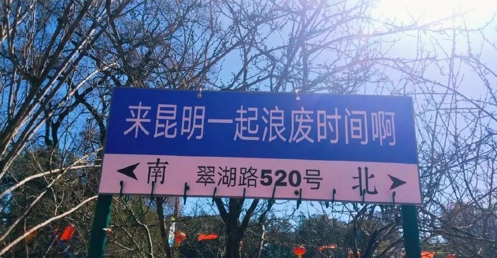 网红路牌文案,被网友们“玩坏”了