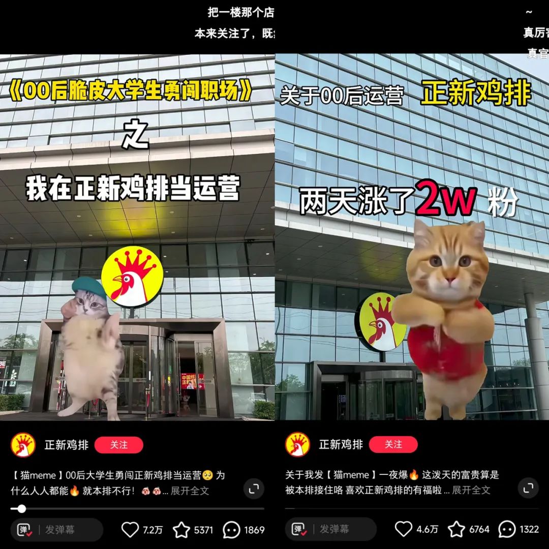 在小红书2天涨粉2万，&ldquo;猫meme&rdquo;成流量密码？