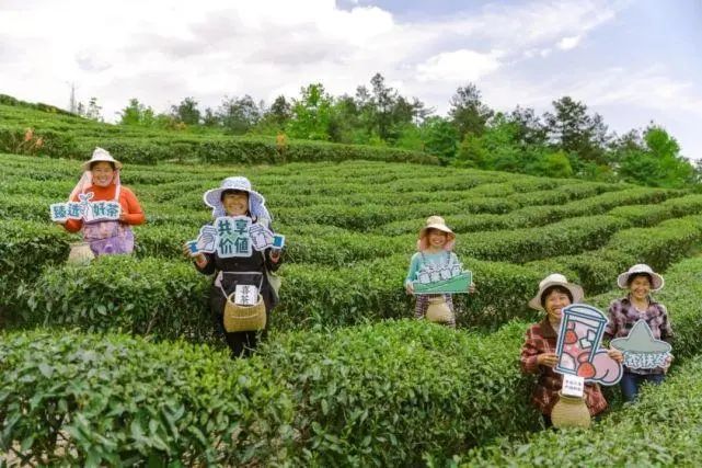 星巴克暴跌,茶百道破发,加盟商要注意了!