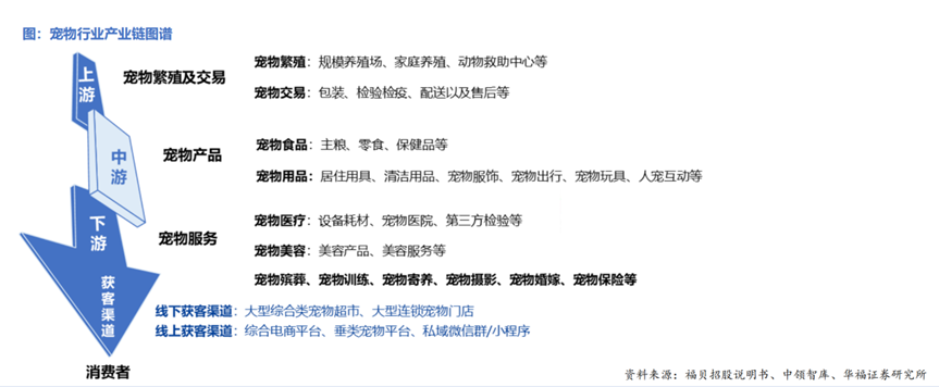 “萌宠经济”迎来全面升级潮,品牌主如何选对阵地脱颖而出?
