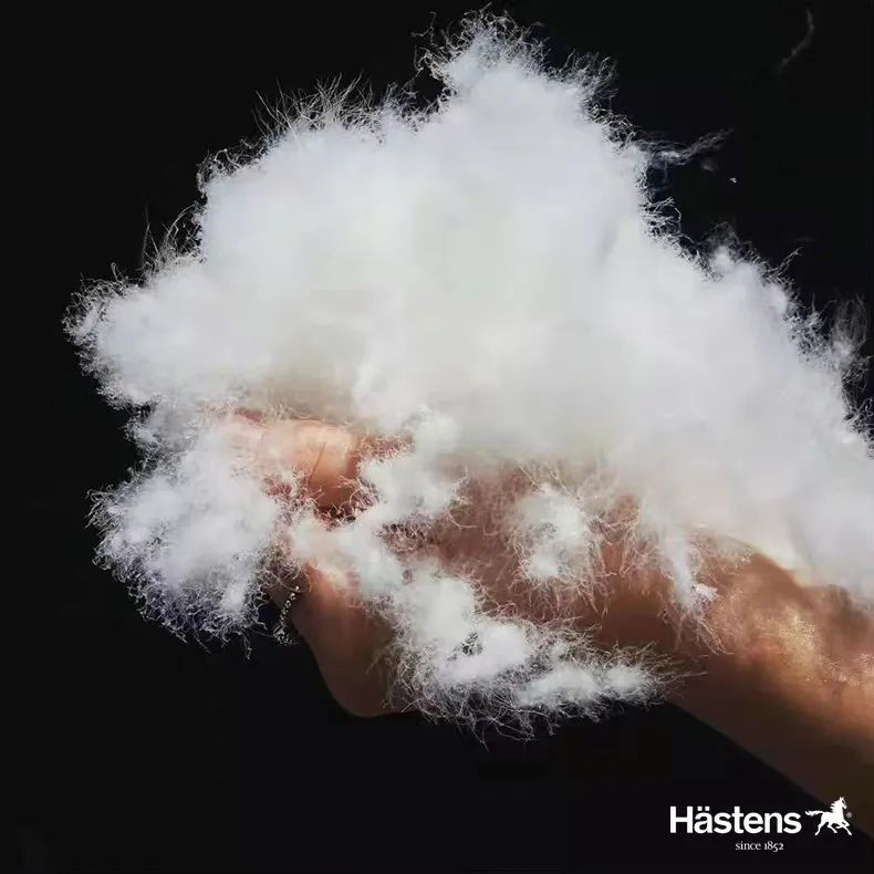 大S的百万“床垫”,惊呆网友!