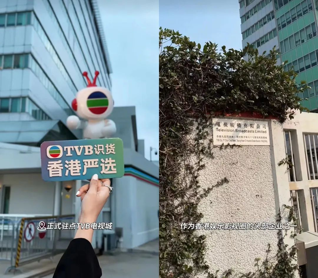 独家对话TVB主播陈自瑶:一场直播GMV7320万,港剧式卖货是如何炼成的?