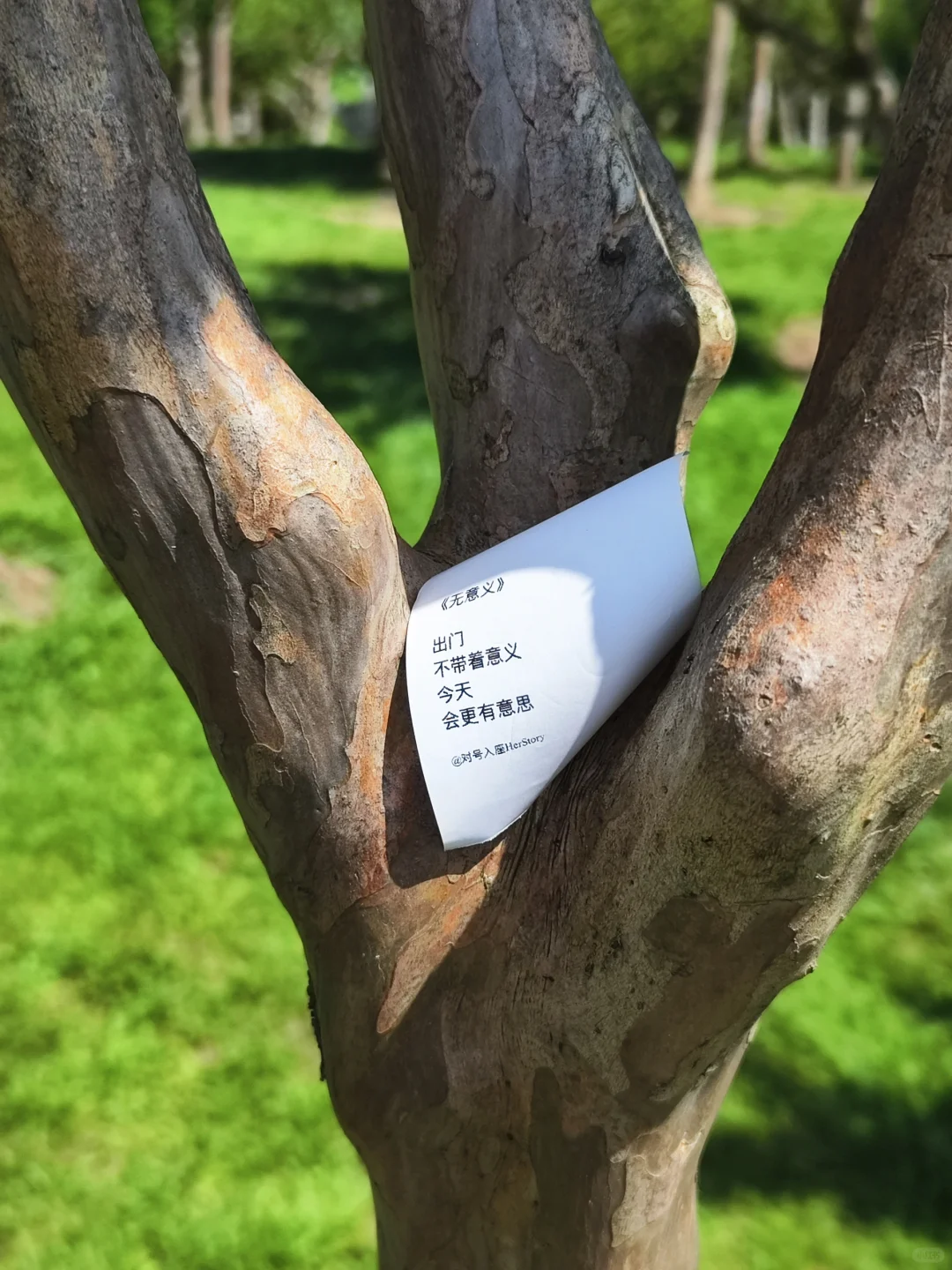三套文案,十分好看