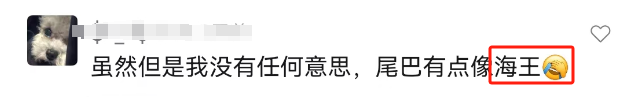&ldquo;内娱第一普女&rdquo;美人鱼广告笑吐了，网友：一股鱼腥味！